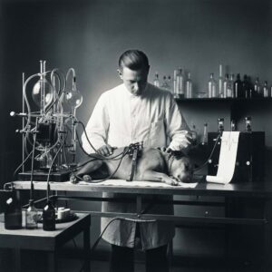 الكلب الذي عاد للحياة