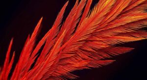 صبغات البسيتكوفولفين